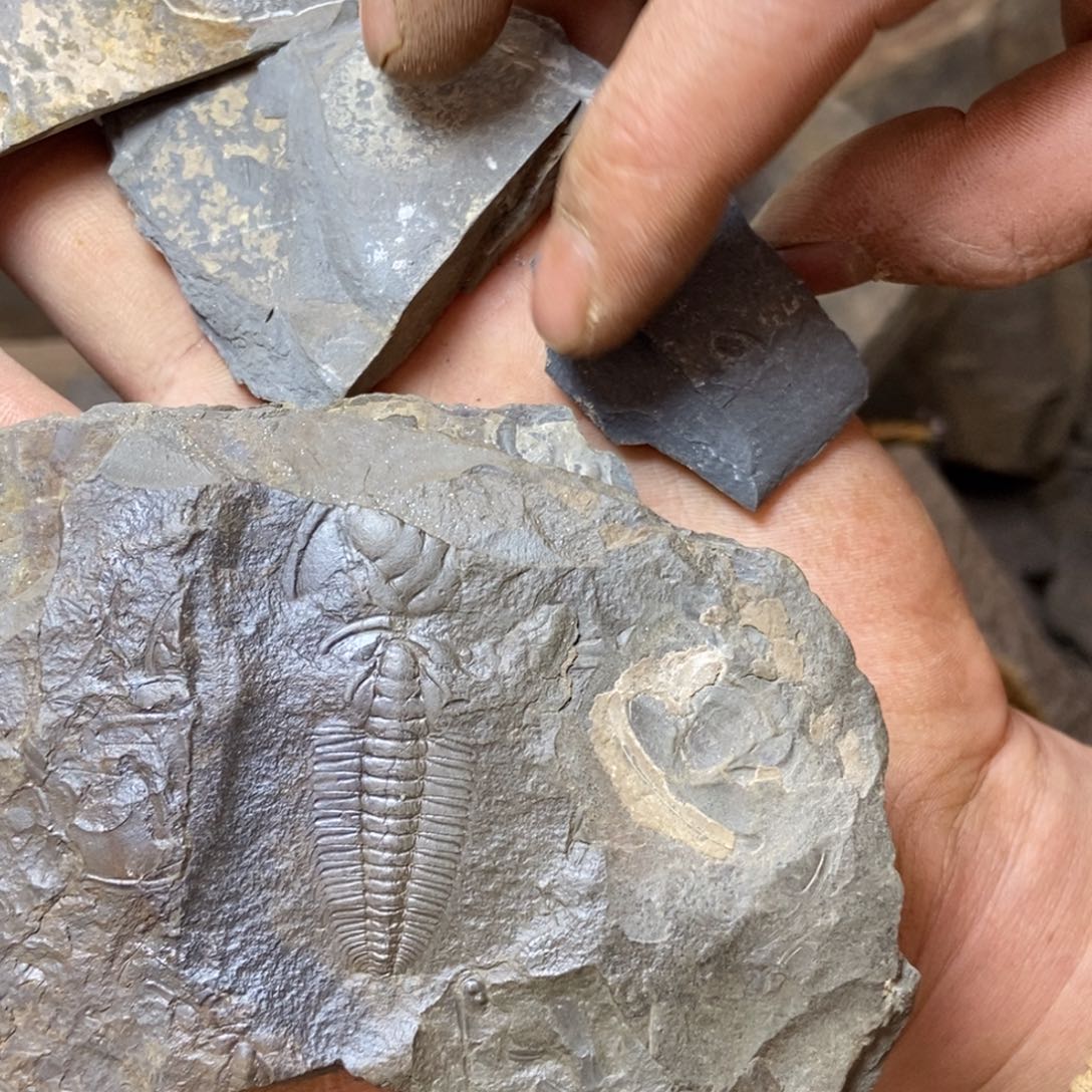 大***指石材1111111111111