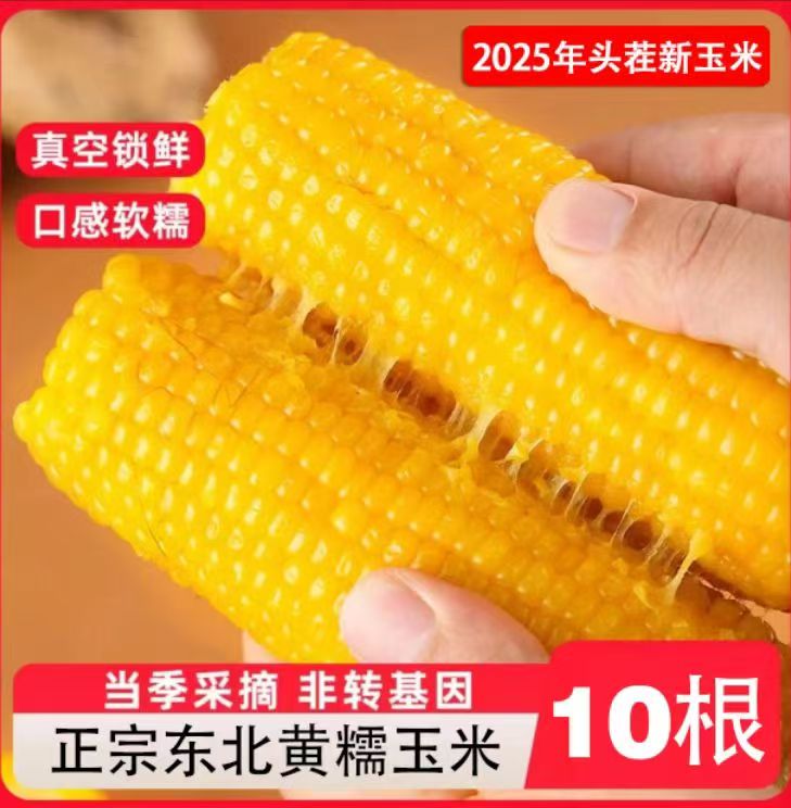 2025年东北新鲜香甜黄糯玉米独立真空包装10根整箱5斤以上N2