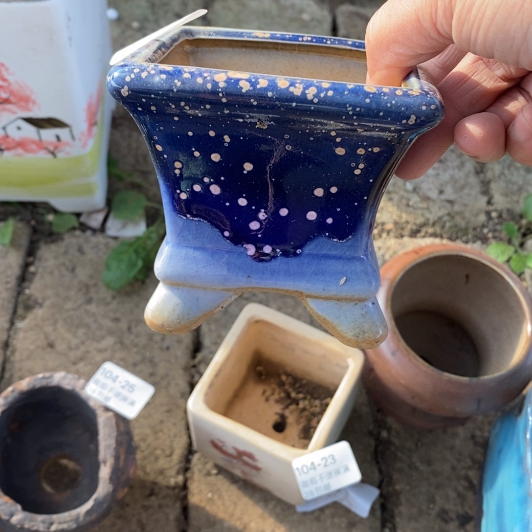 67号多肉盆口径7.5