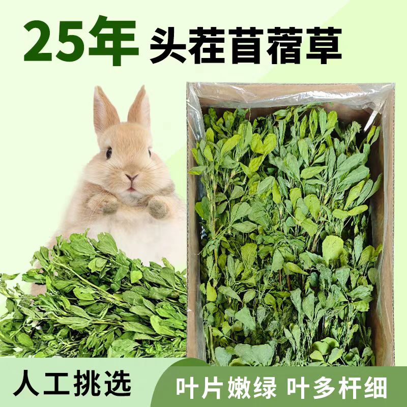 25年头茬苜蓿草兔子龙猫猪食用牧草烘干干草