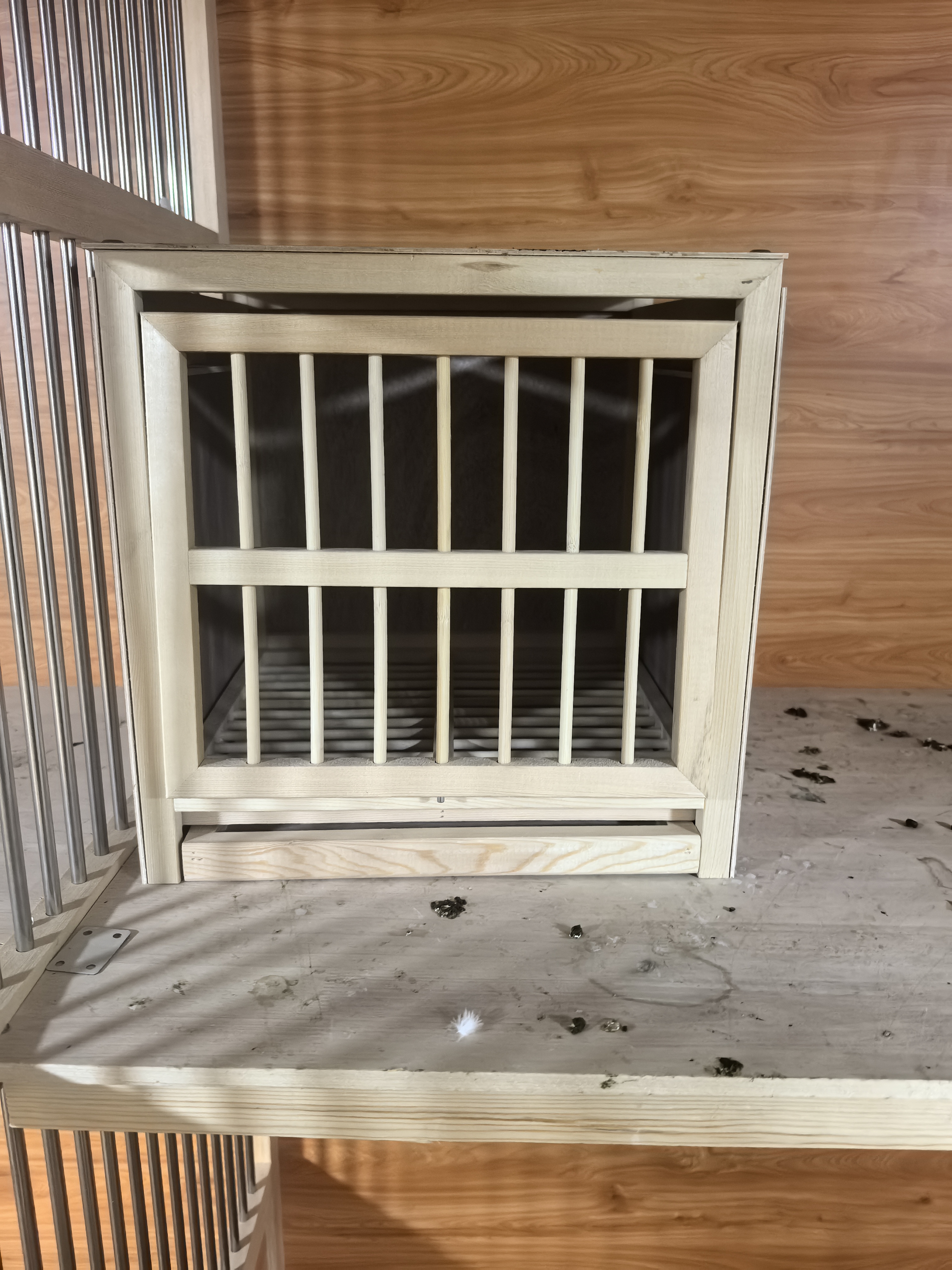 40X40规格松木单体鸽子巢箱