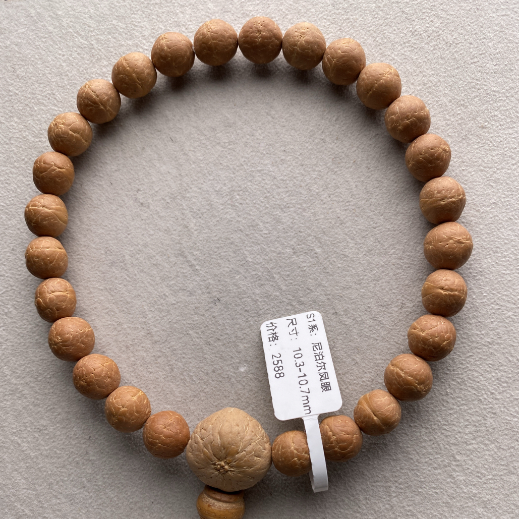 【TN02-11261】尼泊尔同树凤眼菩提手串10.3mm手持新籽圆桩一物一图