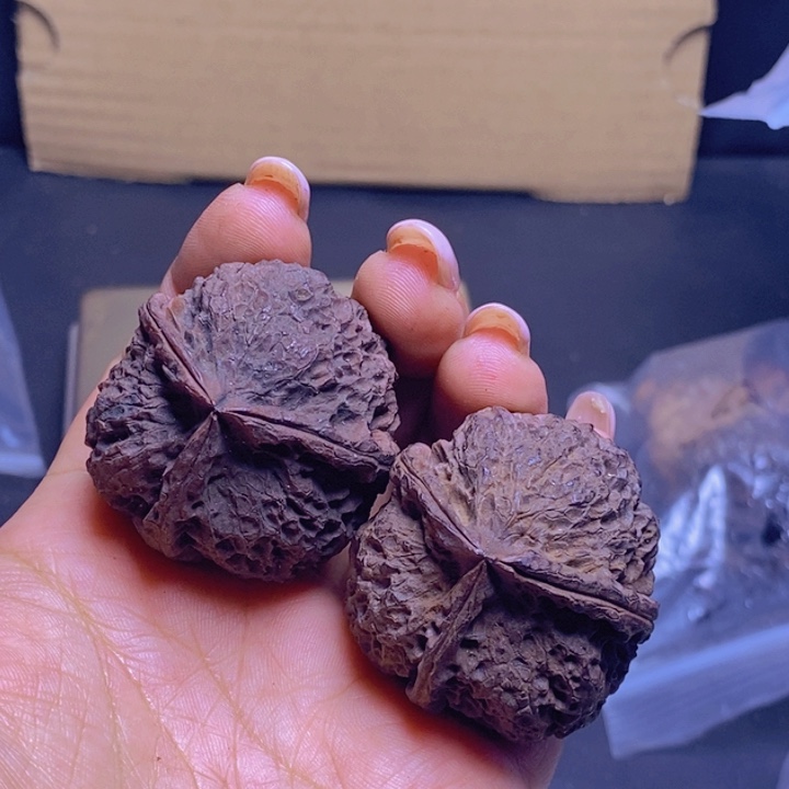 吊坠文玩核桃49-40mm