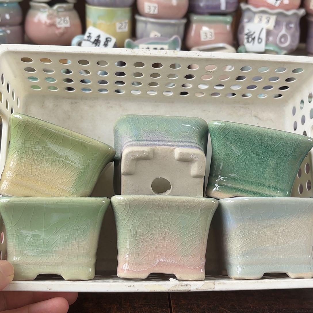 量货/口6.5-8高5深浅搭配发6个