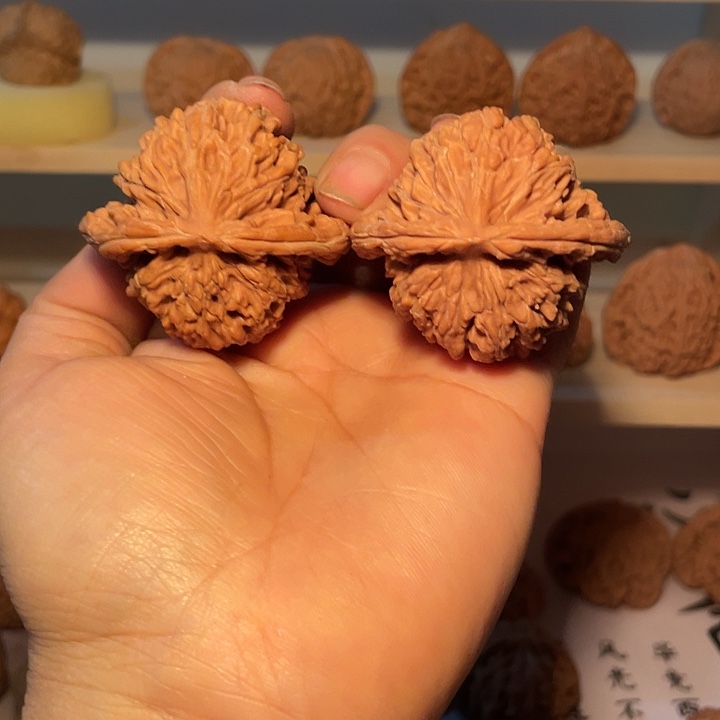 核桃精品四座楼核桃