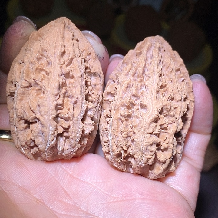 文玩核桃把件东北野生楸子小美78