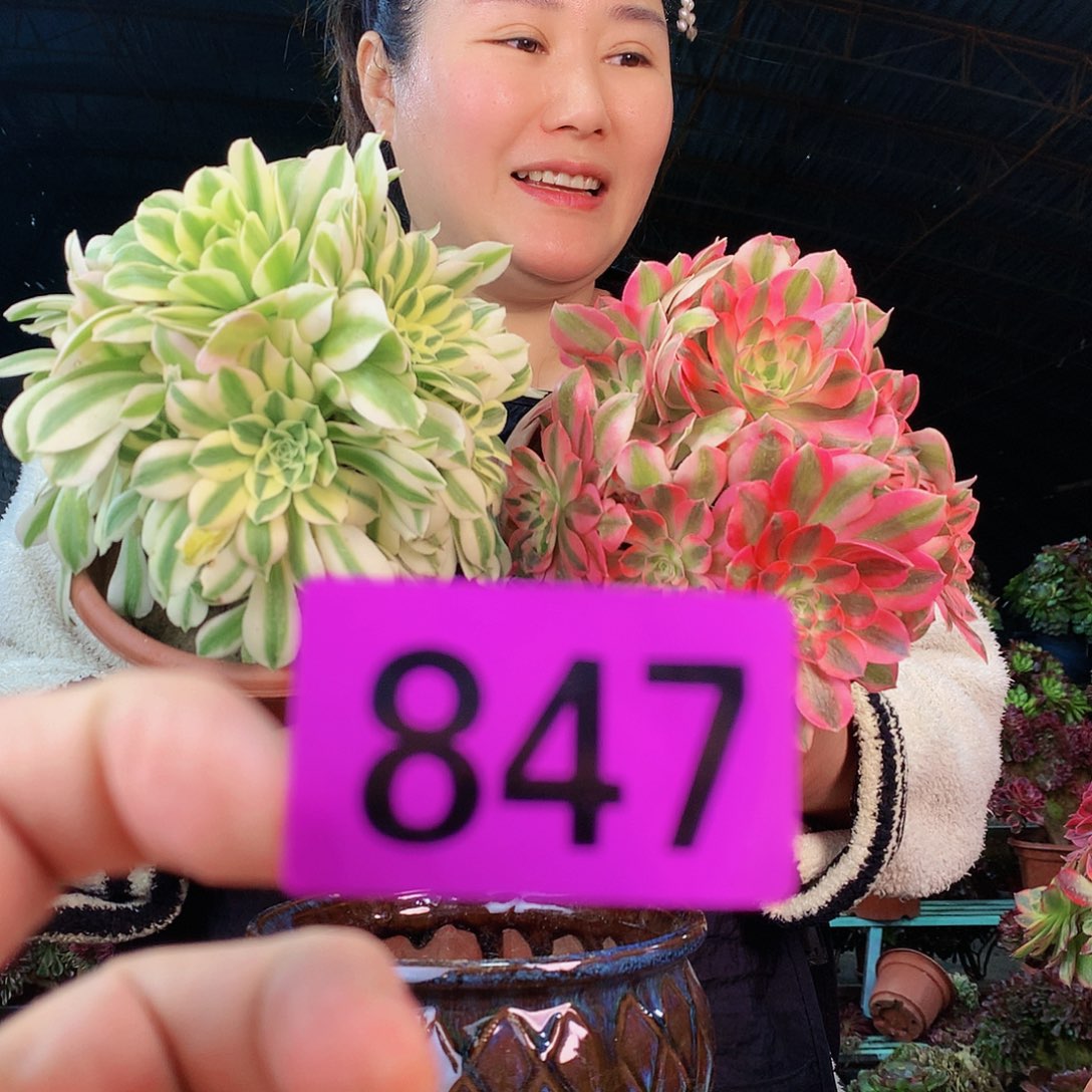 Hhggghhhhjjjj847