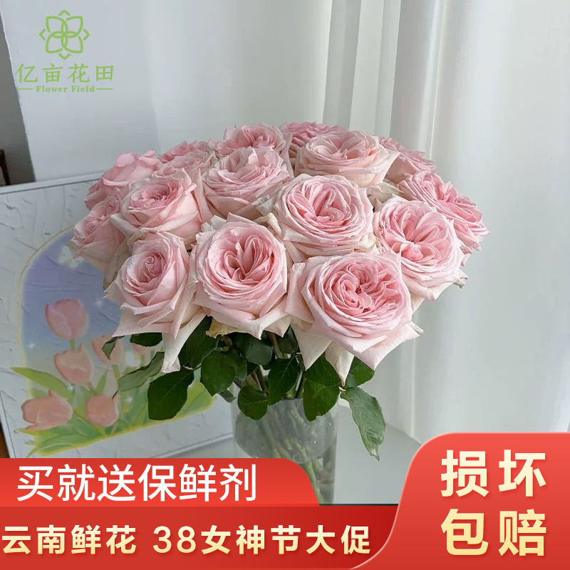 粉荔枝玫瑰10支 包邮【1单中通 2单顺丰京东】云南鲜花