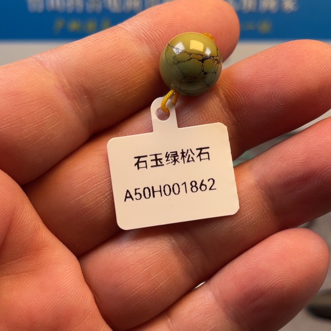绿松石未镶嵌颈饰