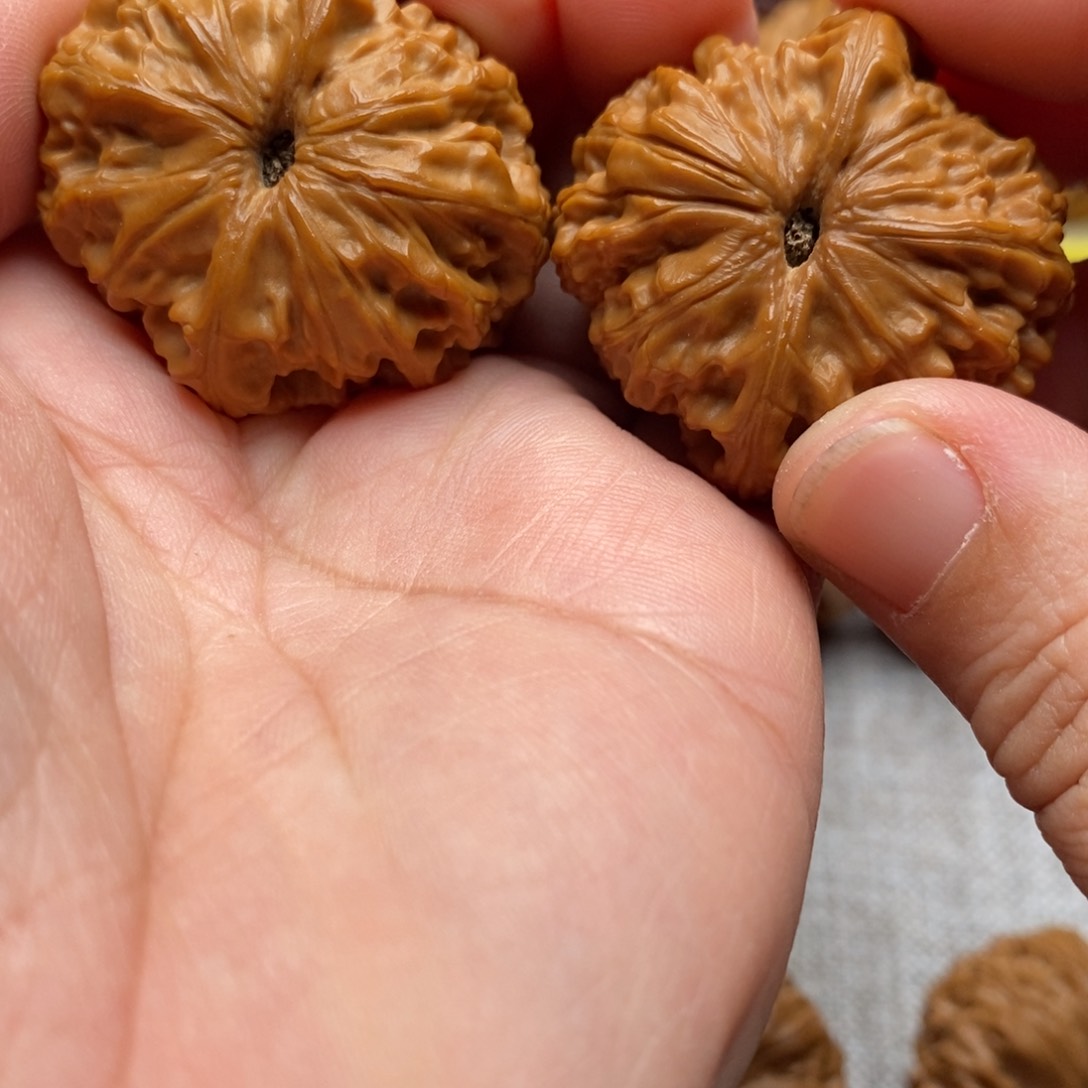 文玩核桃把件伟*37全龙眼