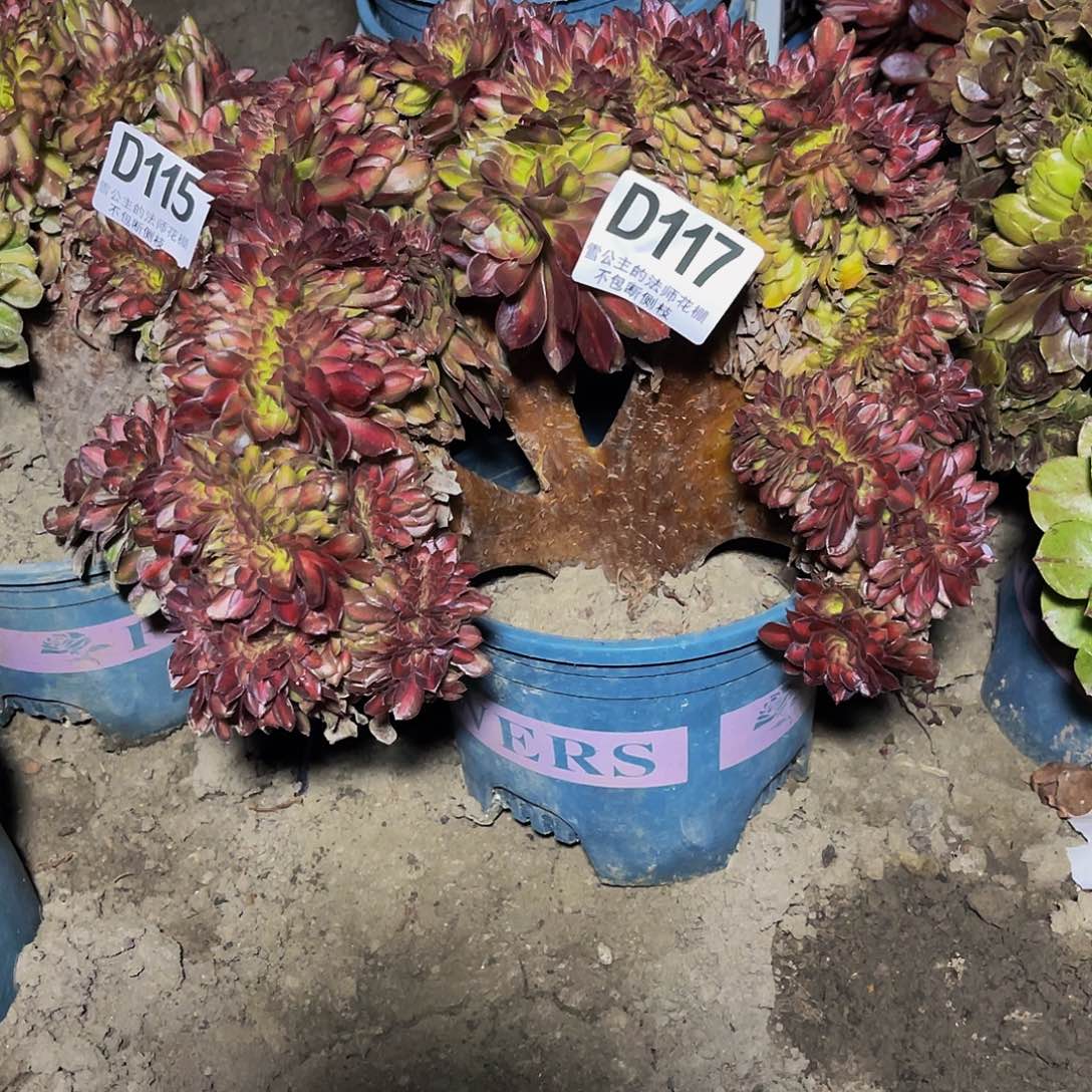 法师法师15-23包邮法师