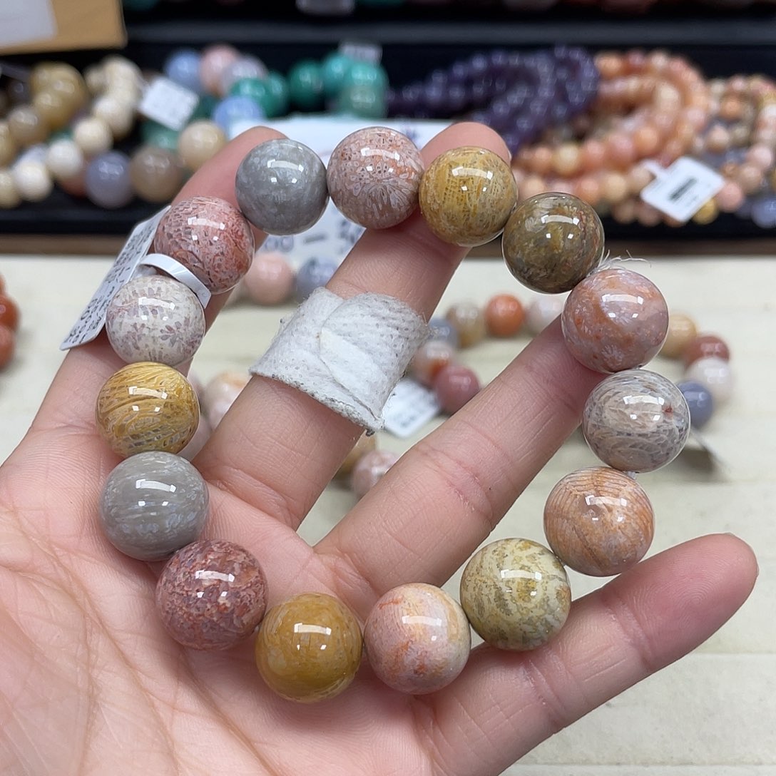 未镶嵌手串硅化珊瑚（珊瑚玉）平*614