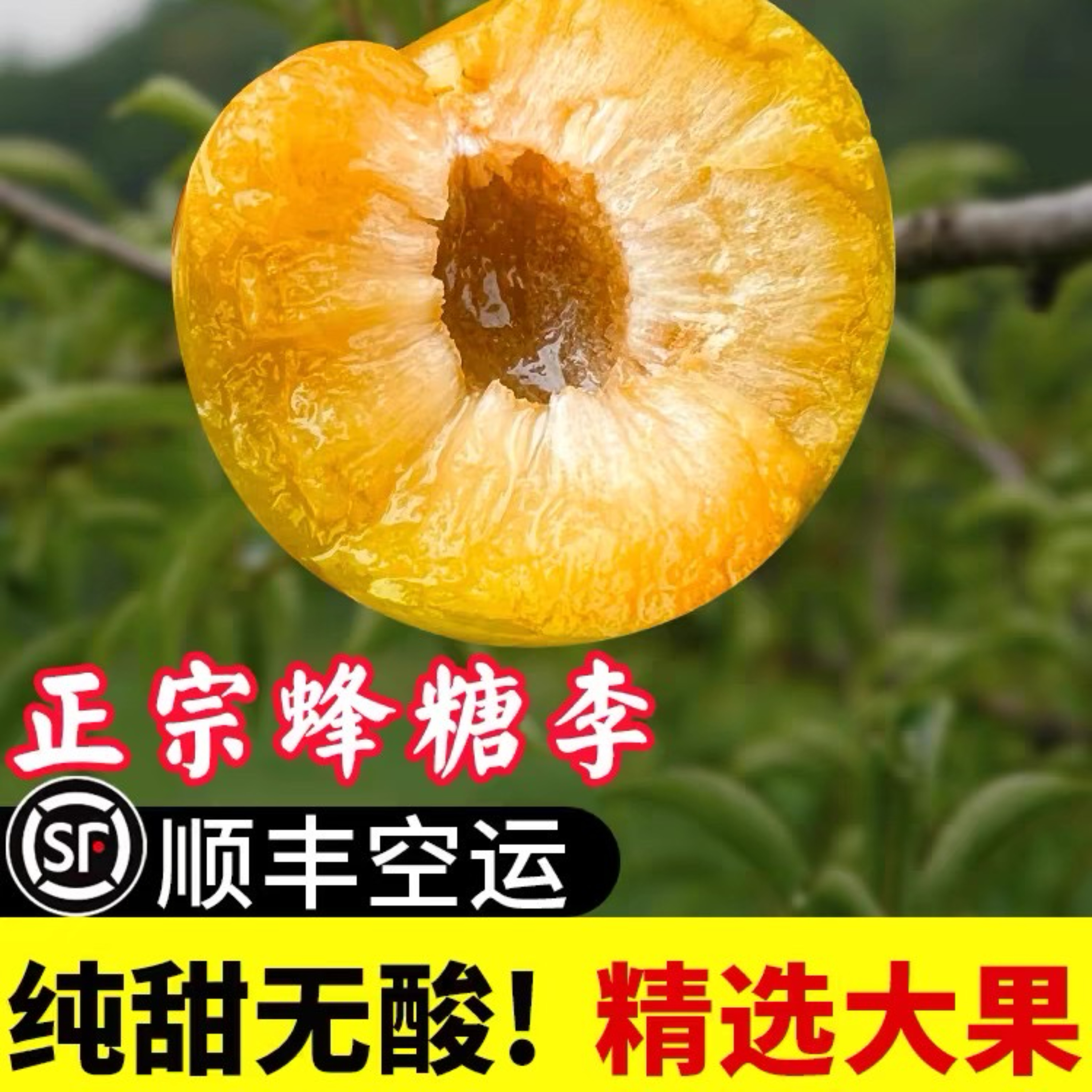 贵州安顺六马蜂糖李新鲜水果脆甜脱骨当季整箱鲜果【顺丰空运】