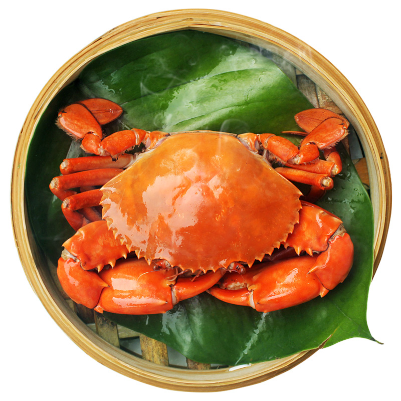 三门青蟹鲜活水产礼盒装母三门膏蟹肉蟹顺丰包邮