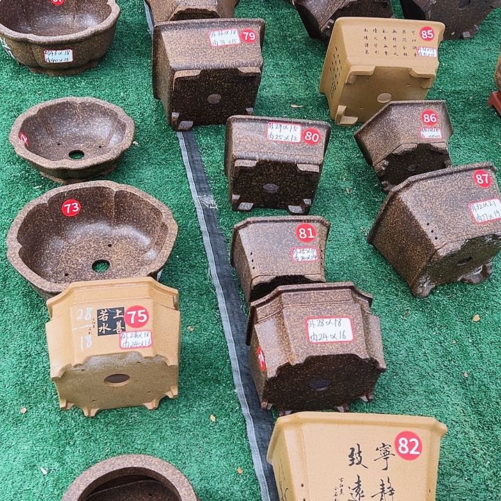 紫砂紫砂花盆花盆