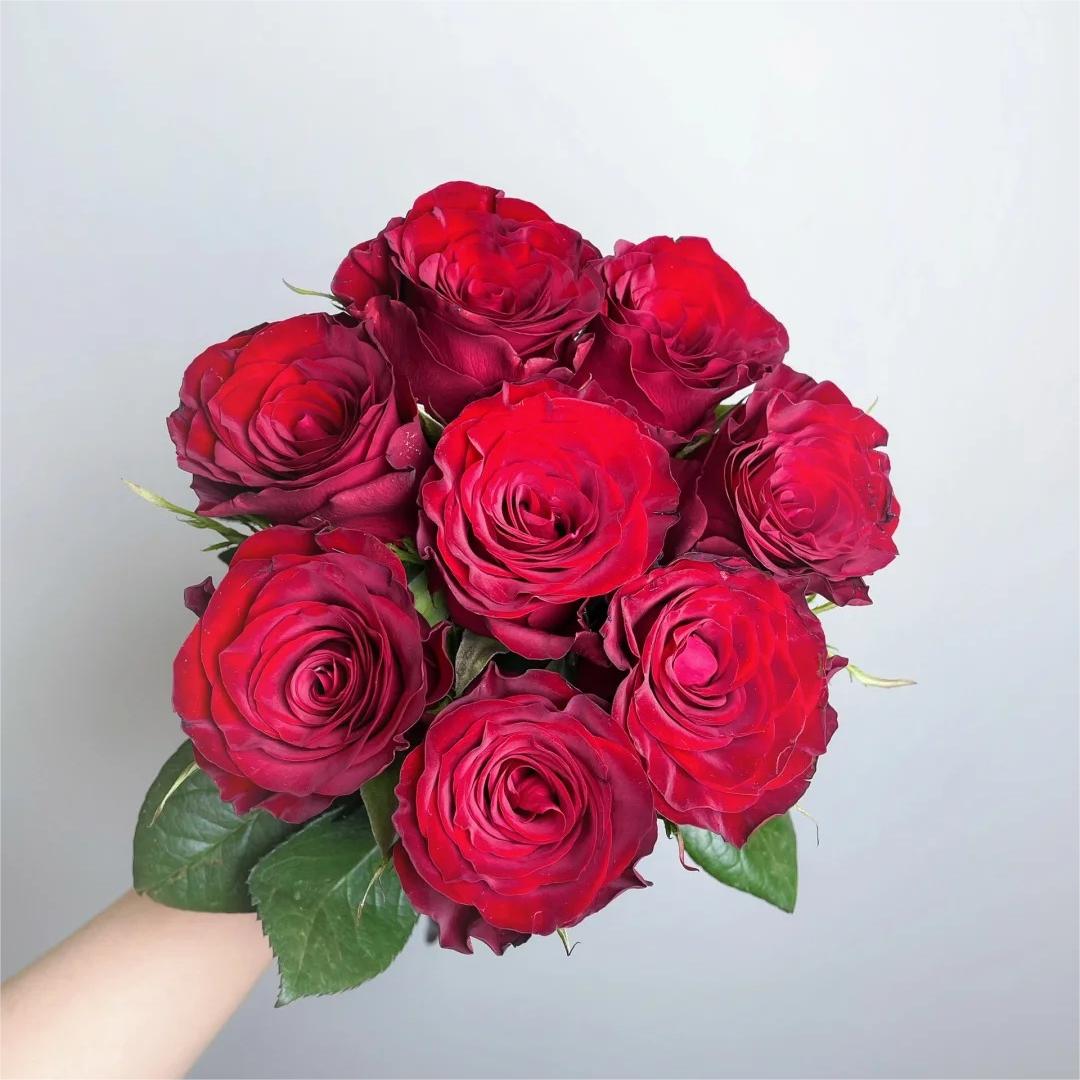 【高原红玫瑰】云南直发玫瑰鲜花两单京东冷链包邮M