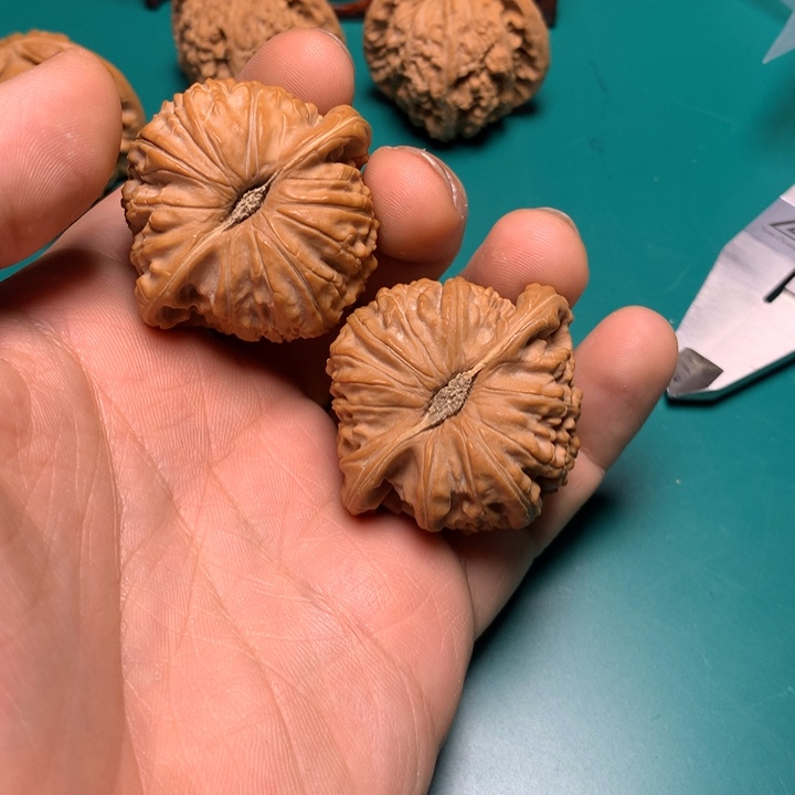 把件文玩核桃爱****张白狮子