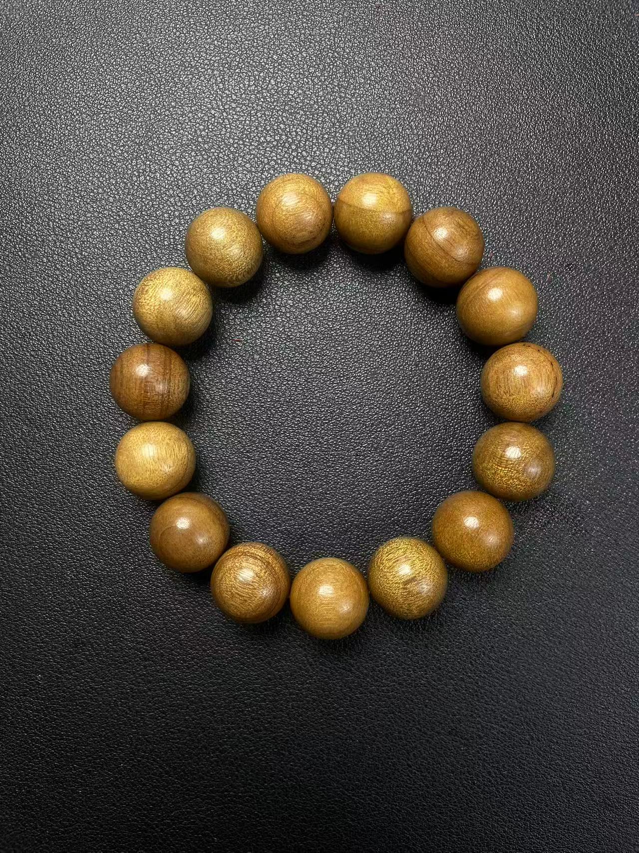 小叶金丝楠1.5