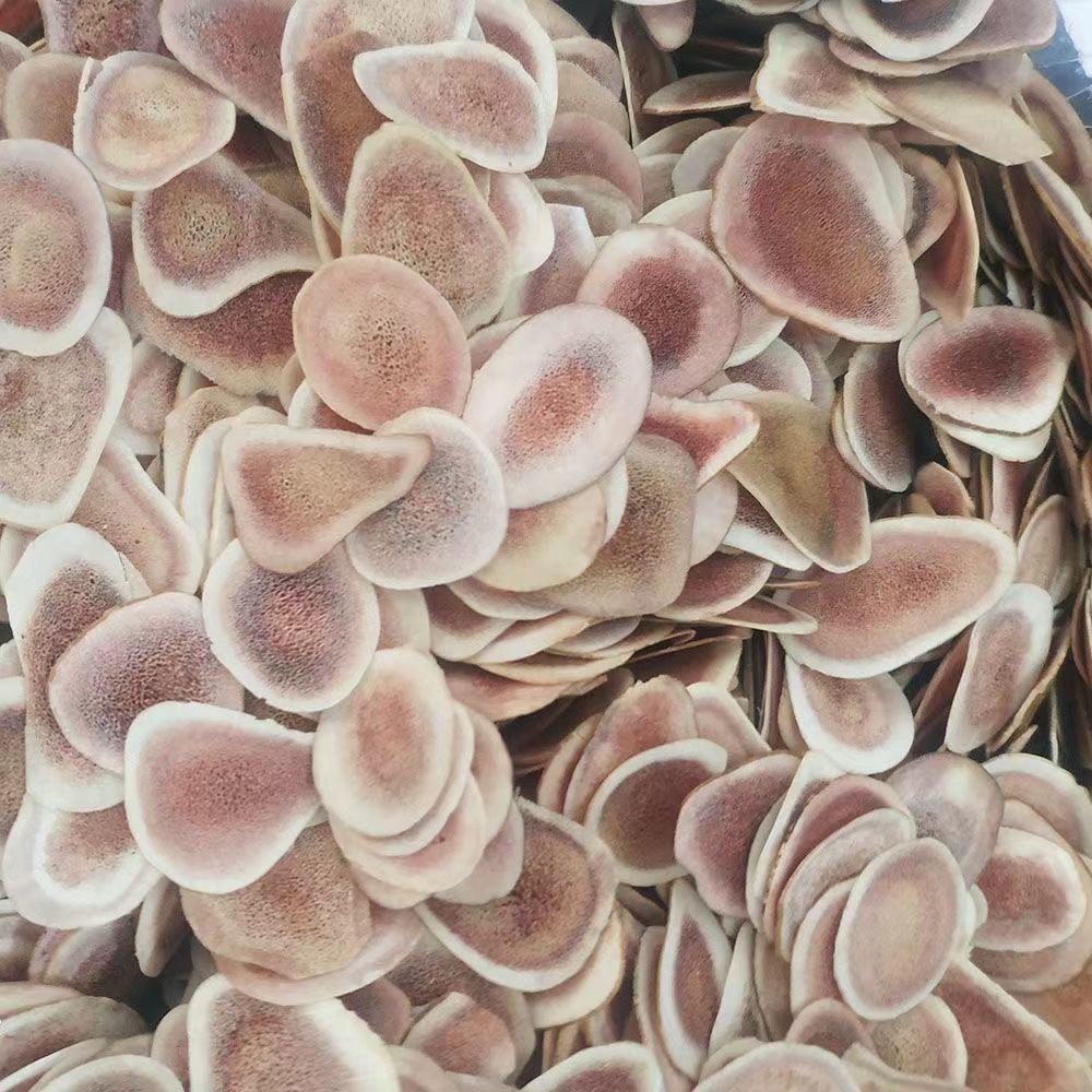 鹿茸片15克正品鹿茸片收到货不满意有运费险联系客服切勿差评