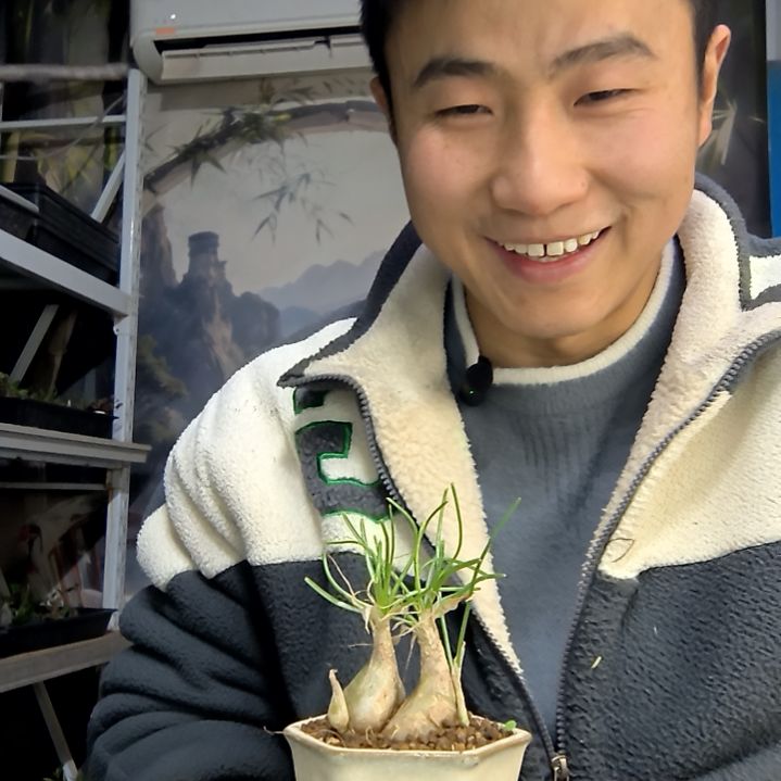 六***亮中青园艺一物一拍花18