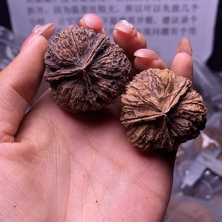 核桃云南野生铁核桃166号37mm