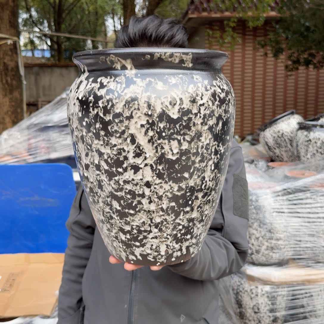 紫砂花盆口25高33（一个姹寂风老庄大号韩