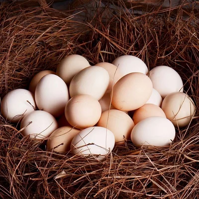 【东子】云南土特产-土鸡蛋