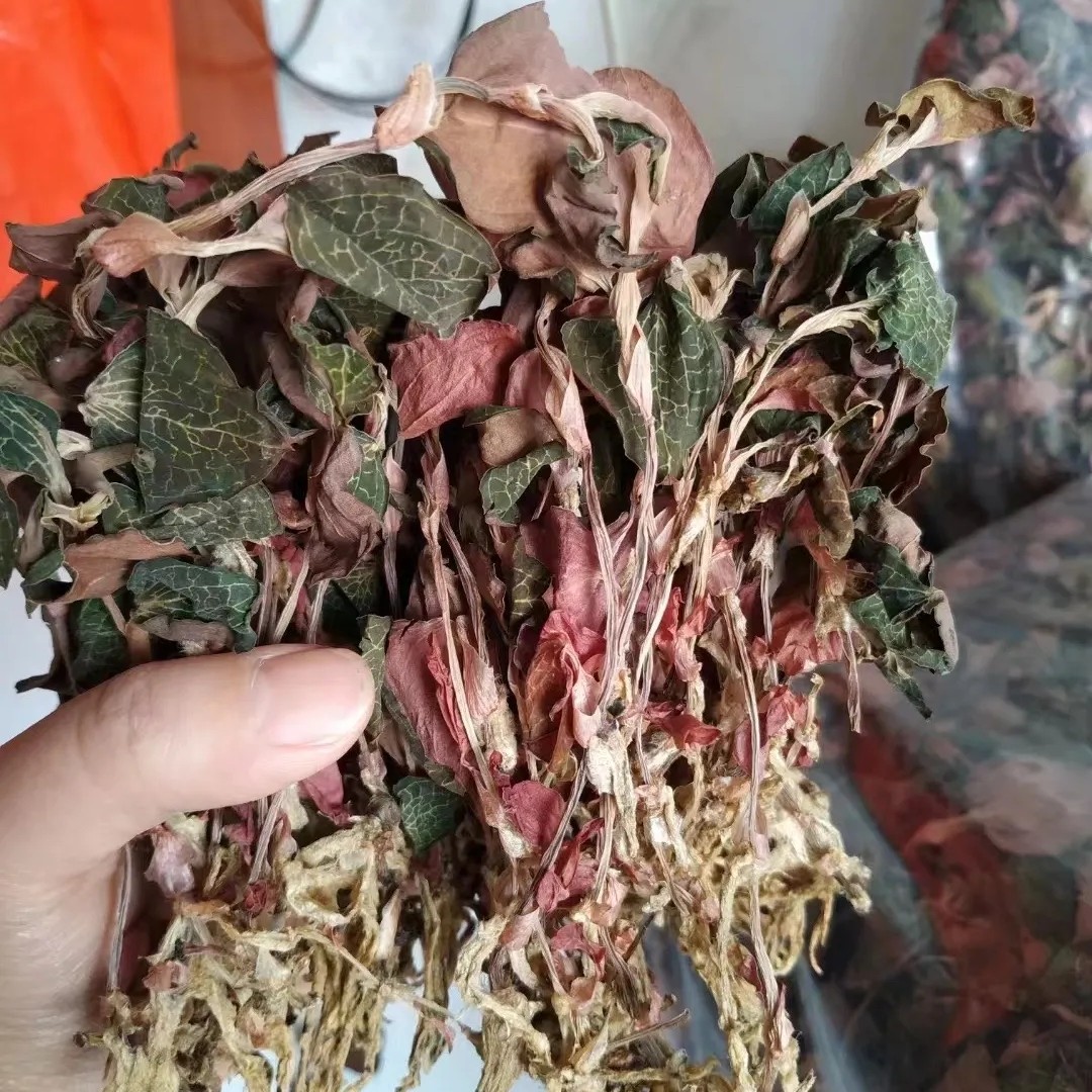 雪黛甄选【干货金线莲】