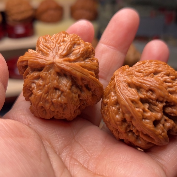 核桃40大粗筋大粗筋大粗筋