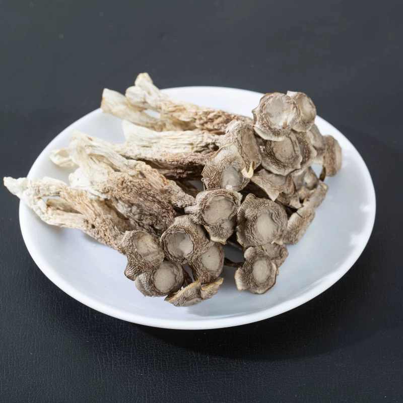 【溯源专属】古田高山头茬鹿茸菇汤包