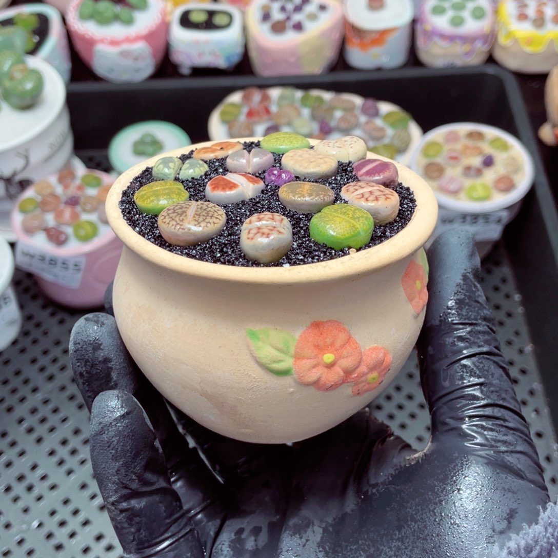 w3860--带盆土发货，零下地区拍保温箱