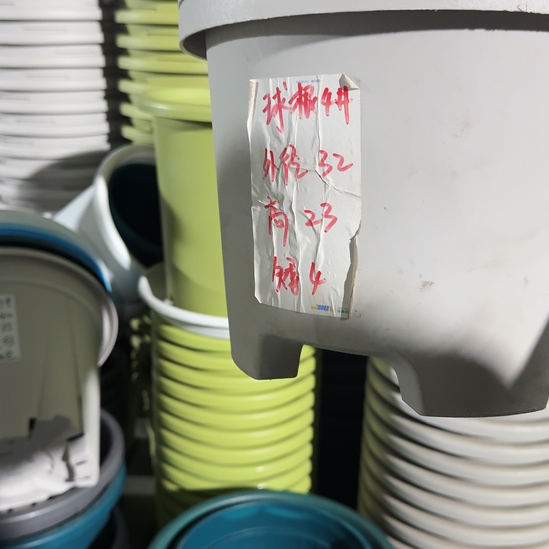 球根4号无拖5个口径32高23米黄