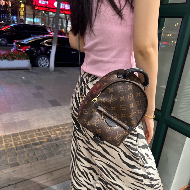 95新 LouisVuitton/路易威登 Lv mini老花小书包（少一根肩带）