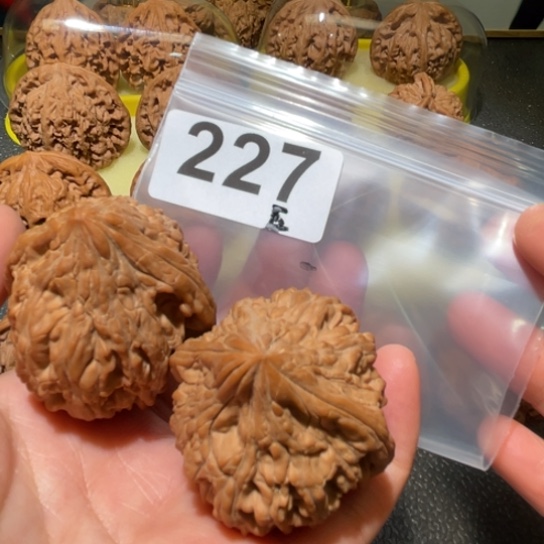 扶***ง把件文玩核桃大骨石42