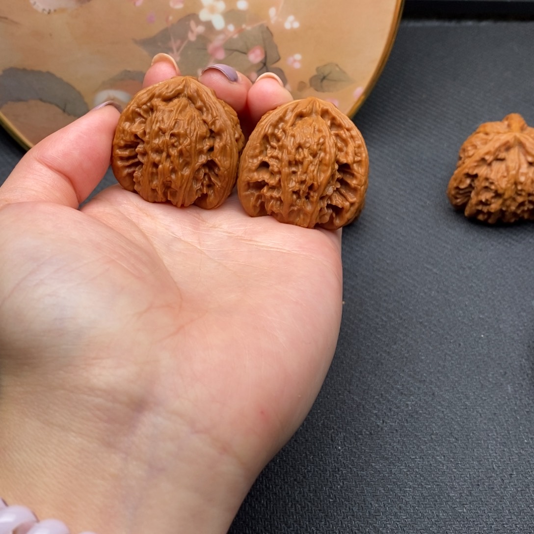 景**视白狮子2111111111111