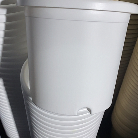 树脂四季4号纯白无托6个