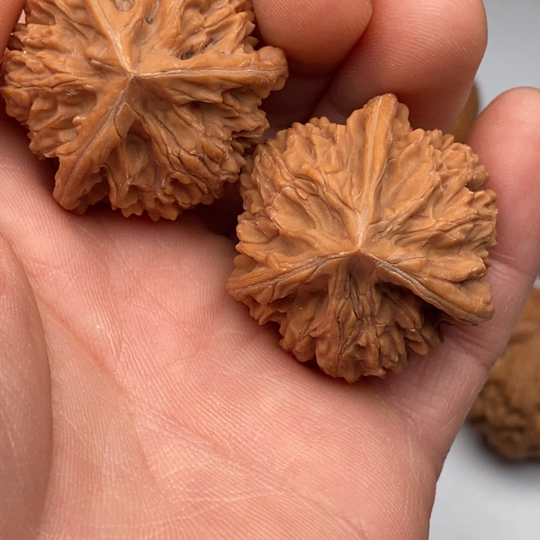 文玩核桃把件35文山三棱