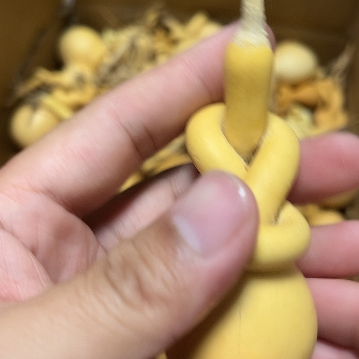 一把破葫芦真便宜