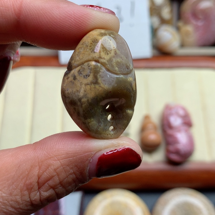 硅化珊瑚（珊瑚玉）颈饰未镶嵌