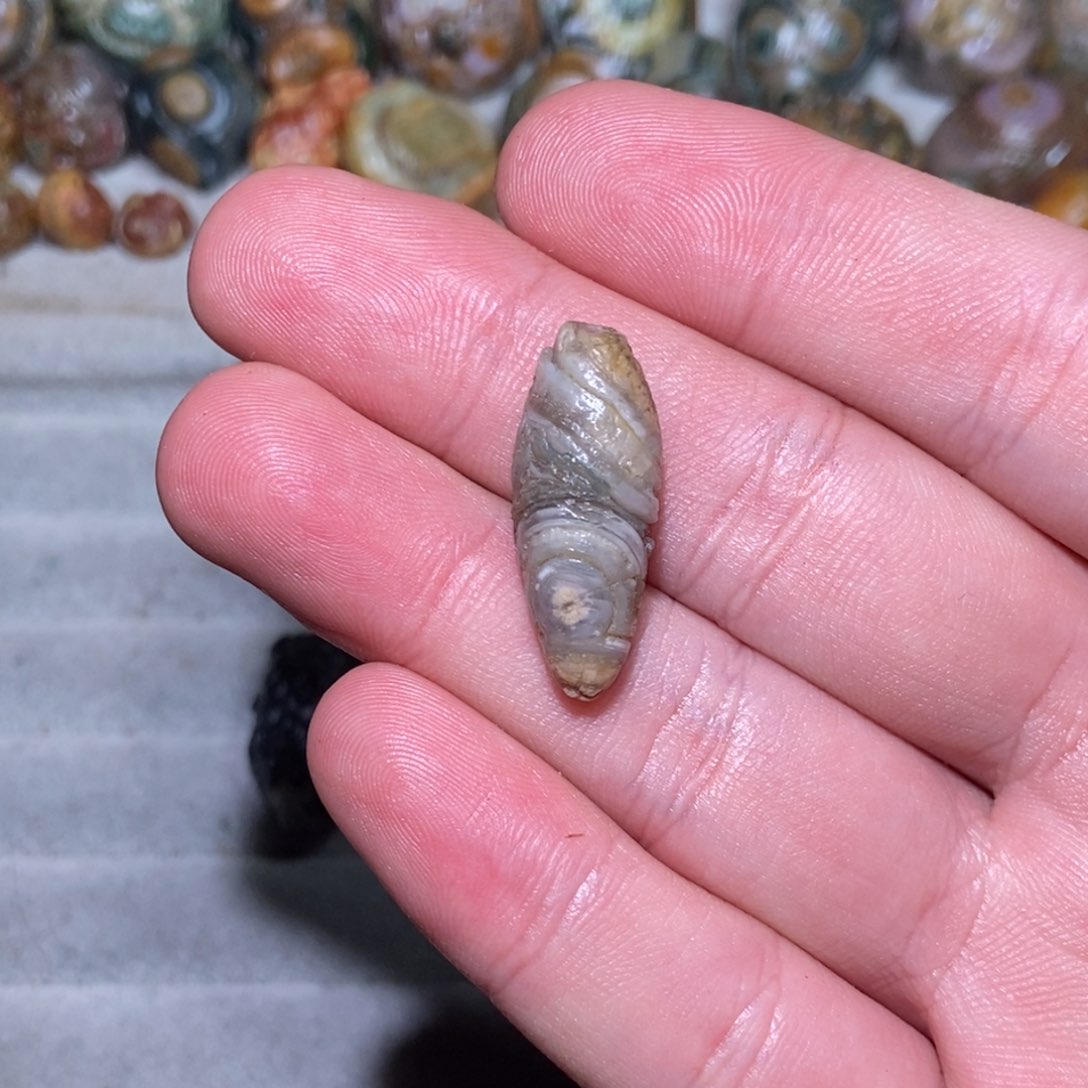 刘***雪阿拉善戈壁创意饰品