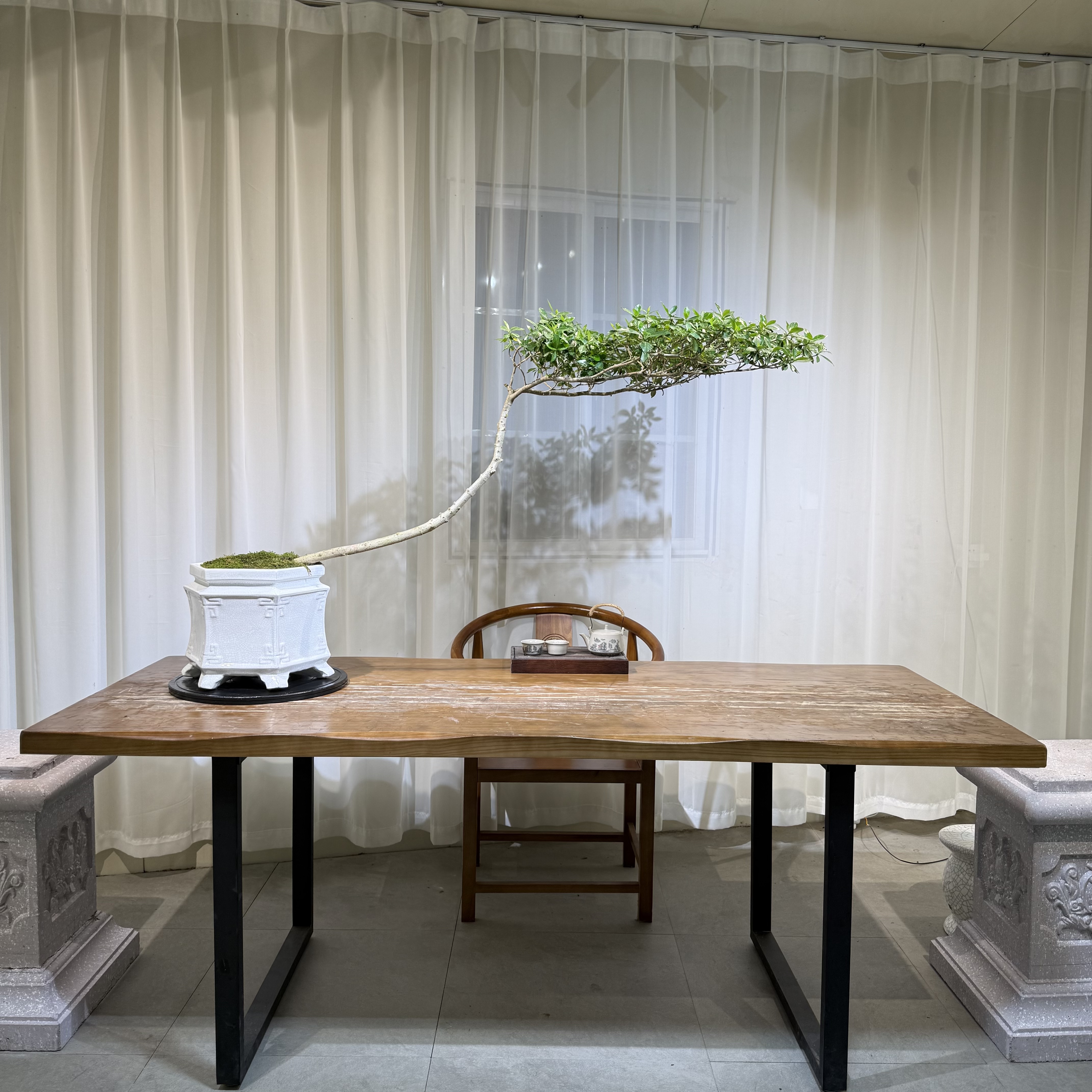 【永栀盆景】海岛栀子花 茶台飘 一物一拍