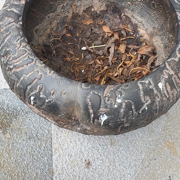 宁***泊石材龟纹石最低哥