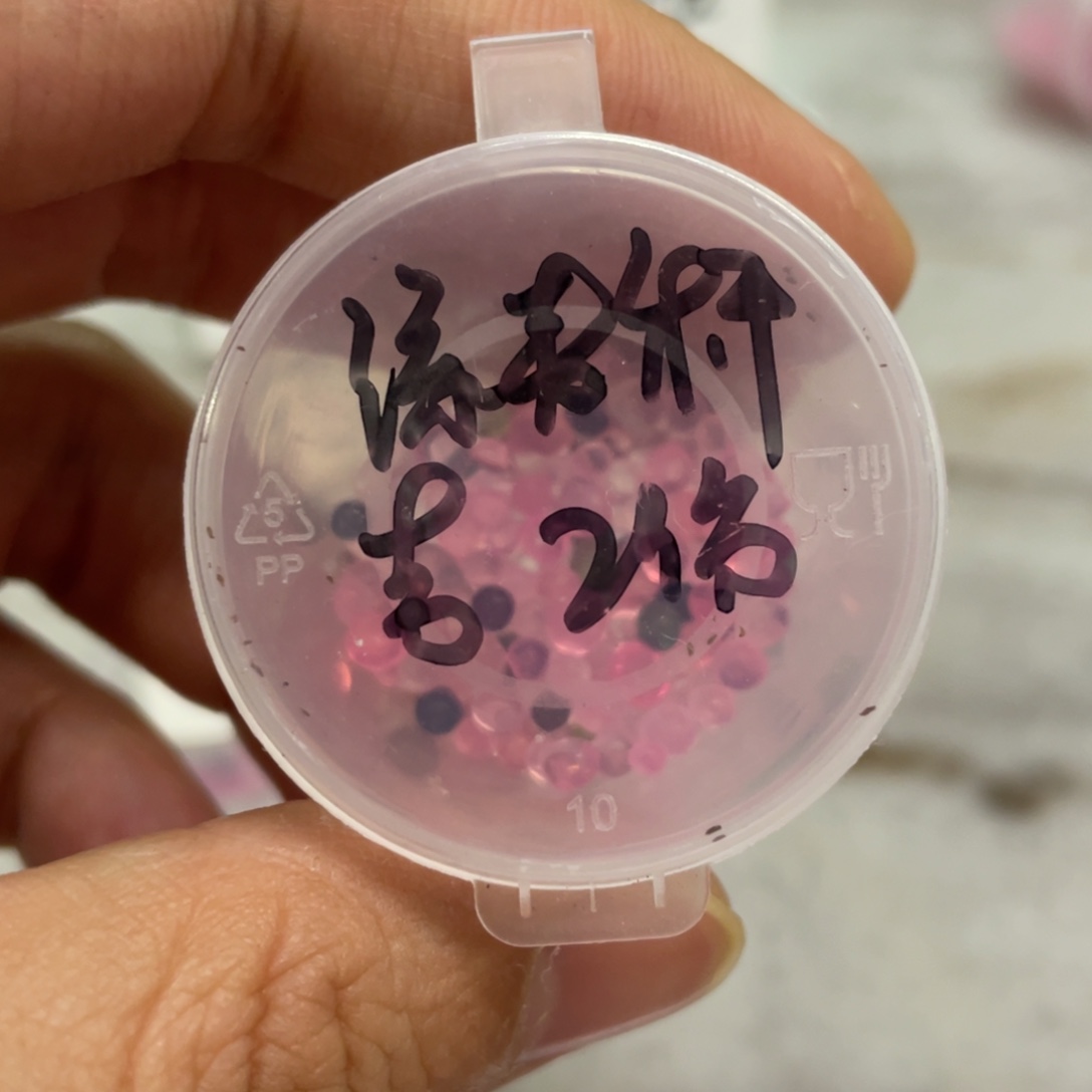 绿麦秆✖️吉娃娃20粒，新品推荐，最后两份