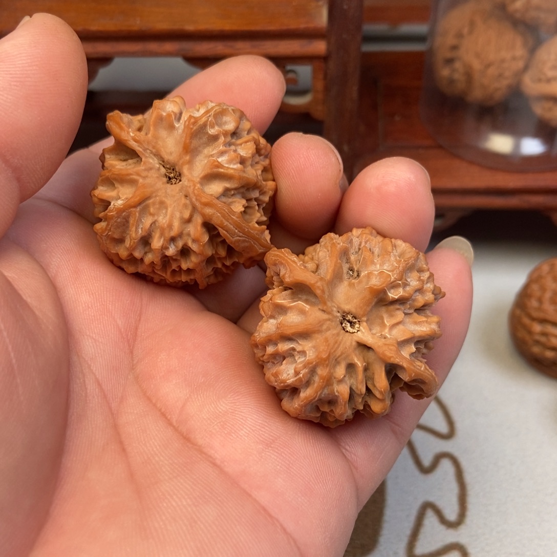 阿***日大叶紫檀（黑酸枝木类）苹果园