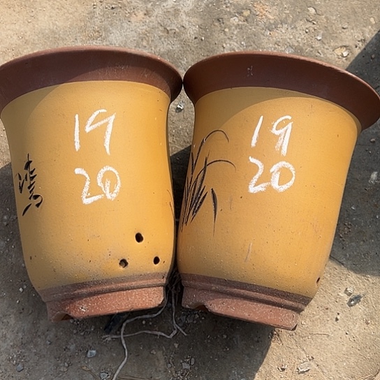 紫砂工艺厂……紫砂工艺厂……