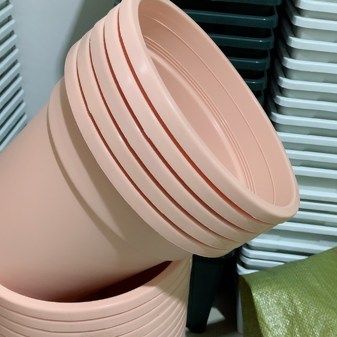 树脂四季口28粉5个无托