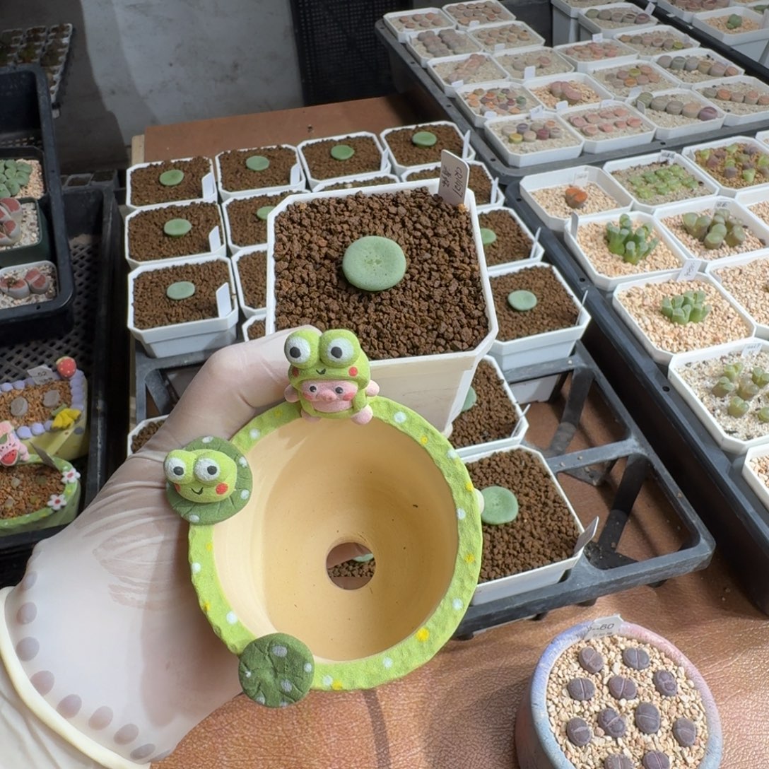 V***a1220-061连盆带花酒杯