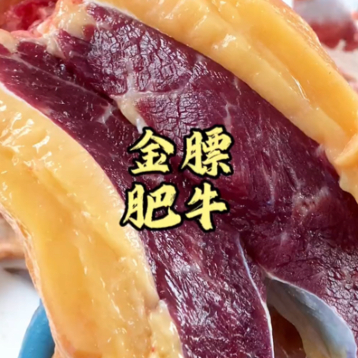潮汕印象5斤精品肥牛 火锅 炒菜 烧烤丫霸火锅食材