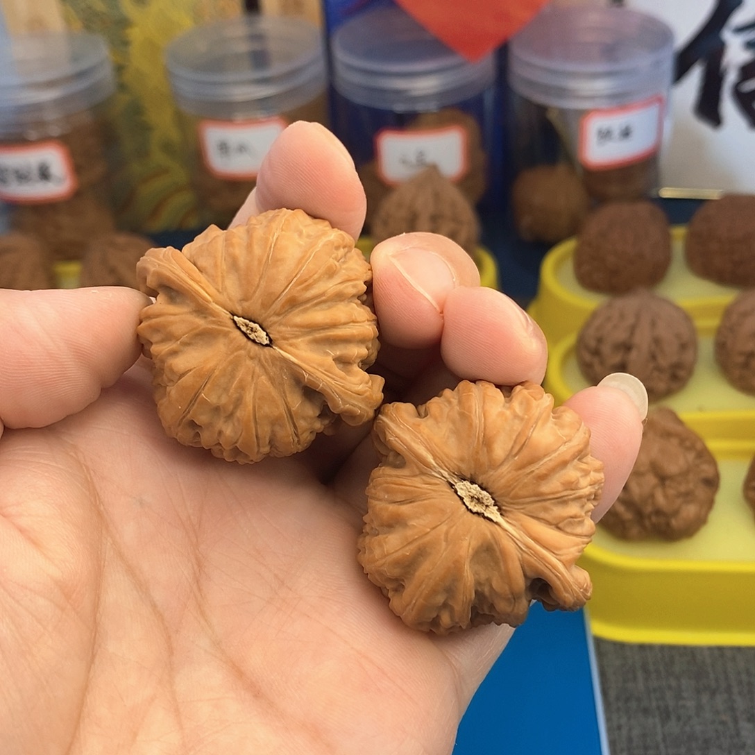 41全品无修白狮子