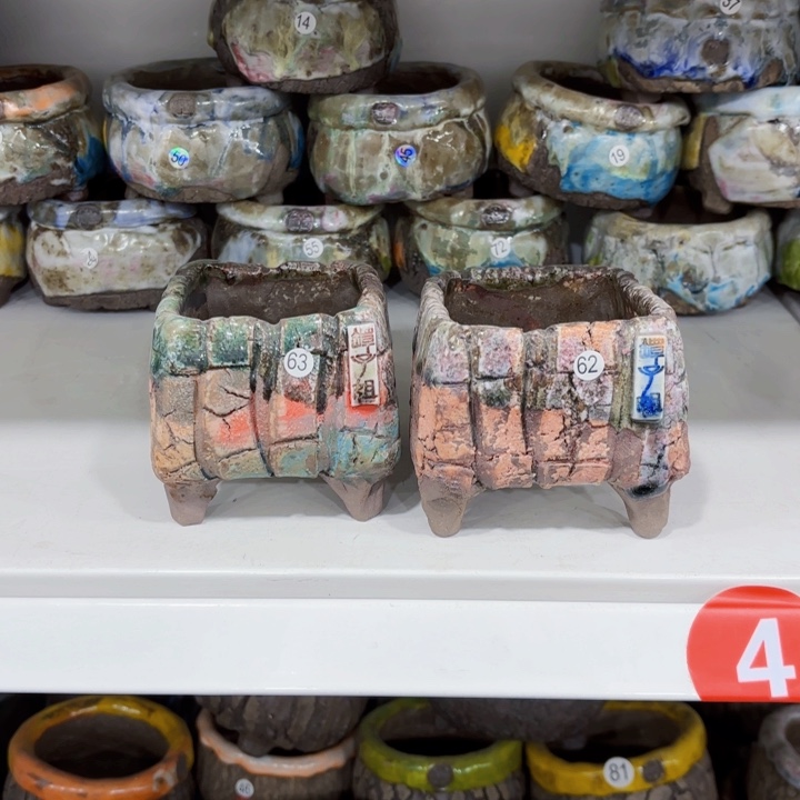 红陶朵*福利70米2个